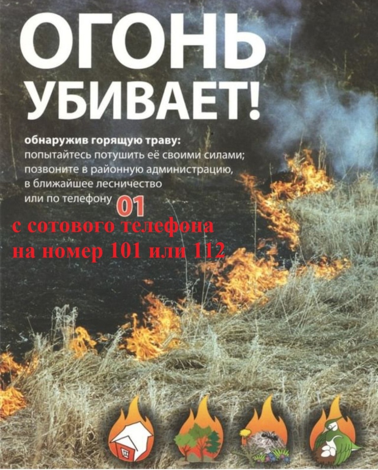 Служба 01 МЧС России предупреждает:  Ежегодно в весенне-летний период значительно увеличивается количество пожаров в частном жилом секторе